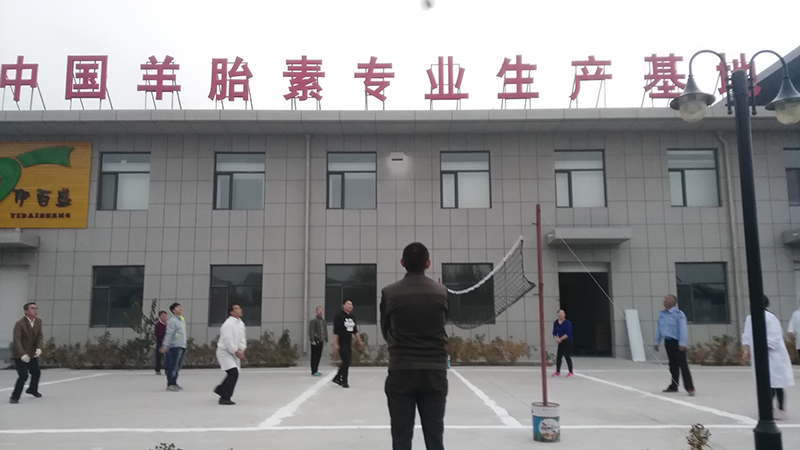 銀川伊百盛生物工程有限公司 銀川伊百盛生物工程有限公司