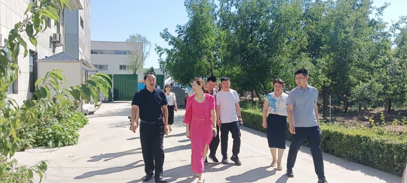 銀川伊百盛生物工程有限公司 銀川伊百盛生物工程有限公司