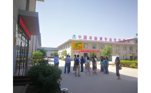 江南大學、寧夏大學課題組專家蒞臨伊百盛調研交流